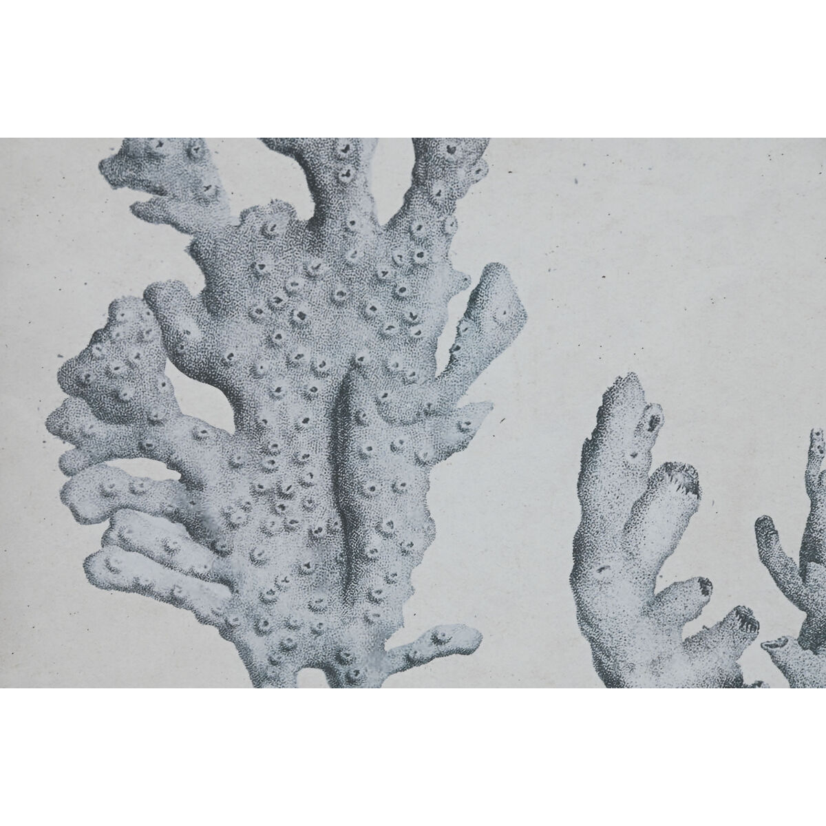 Quadro Home ESPRIT Grigio Mediterraneo 50 x 3 x 60 cm (6 Unità) 4 S3059852_2