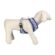 Imbracatura per Cani Stitch 1 S2444289_0
