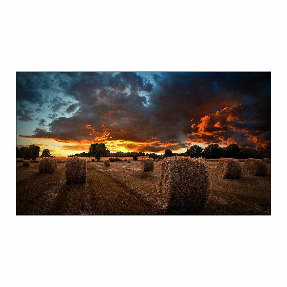 Monitor Videowall Samsung VM55B-U Full HD 55" 4 S55269061_2