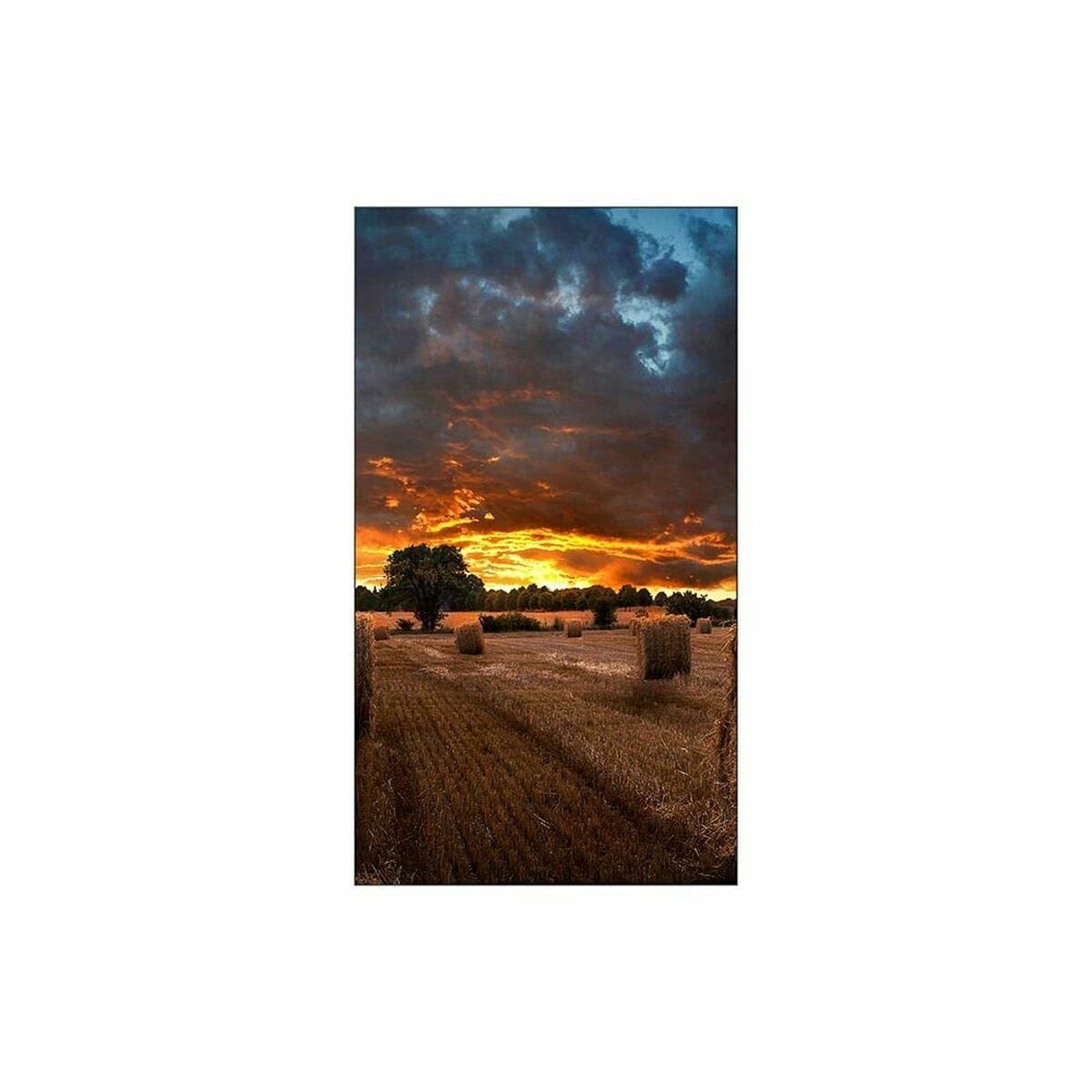 Monitor Videowall Samsung VM55B-U Full HD 55" 6 S55269061_4