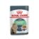Cibo per gatti Royal Canin Digest Sensitive Care Carne 12 x 85 g 1 S9130136_0