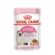 Cibo per gatti Royal Canin Kitten Gravy 85 g 1 S9111233_0