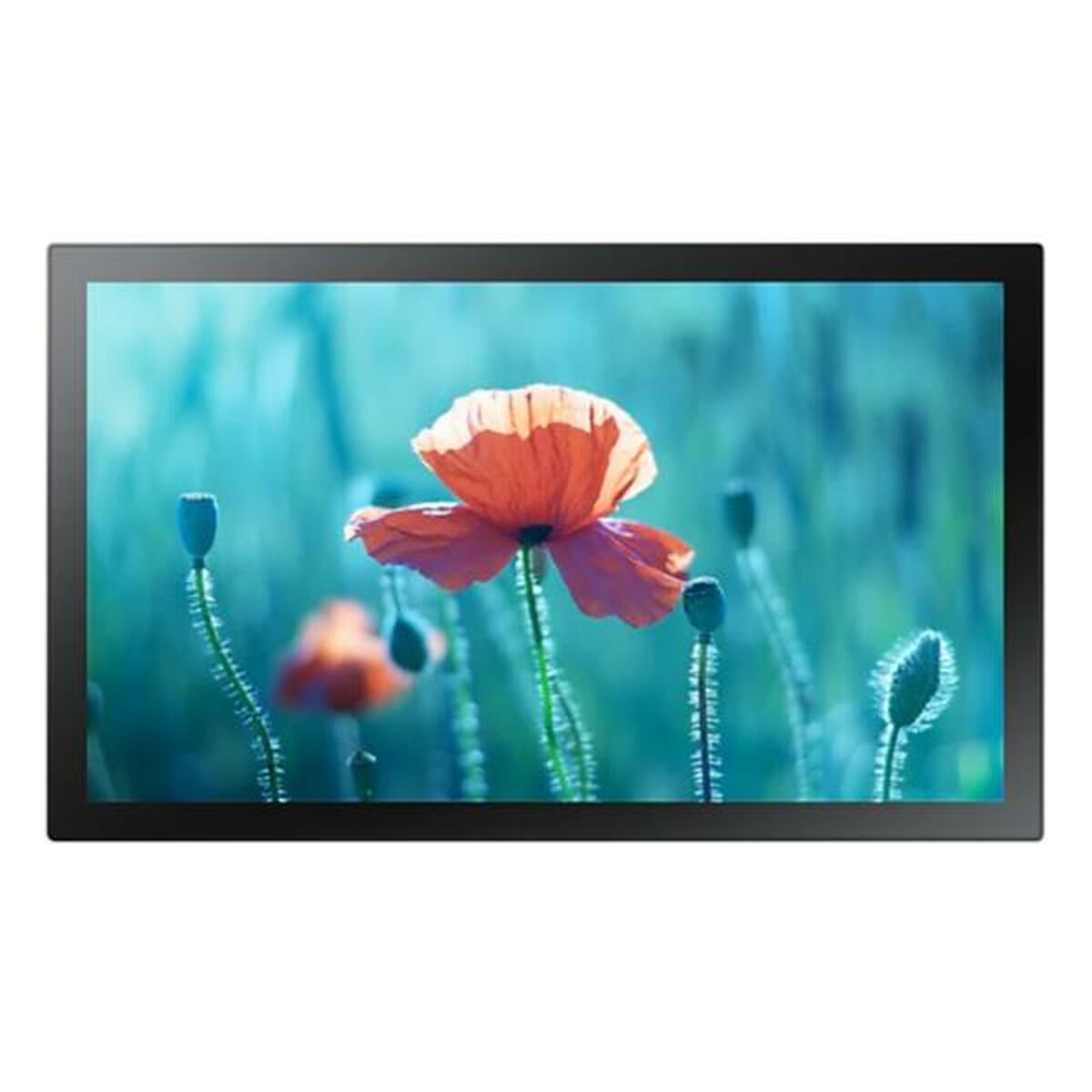 Monitor Videowall Samsung QB13R-TM 13" Full HD 75 Hz 2 S77187867_0