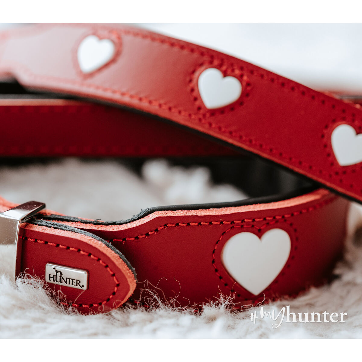 Collare per Cani Hunter Love M 41-49 cm Rosso 6 S6104608_4