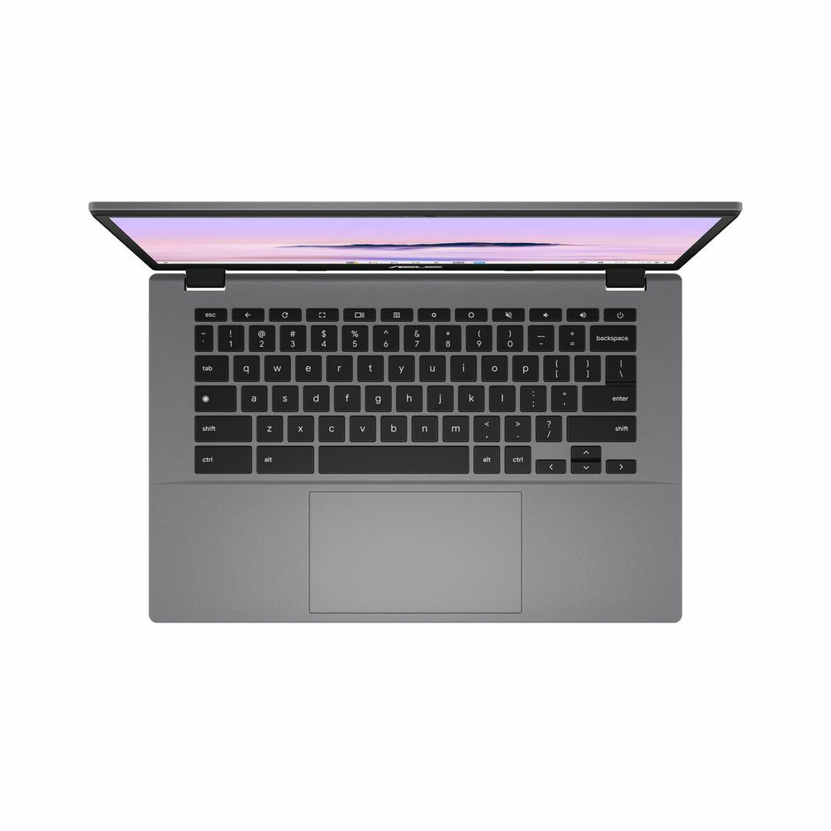 Laptop Asus Chromebook Plus CX34 Qwerty in Spagnolo 14" Intel Core I3-1215U 8 GB RAM 256 GB SSD 6 S9914733_4