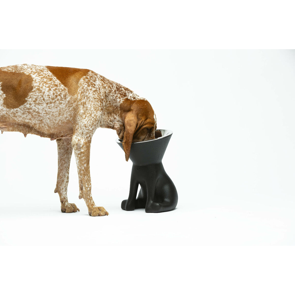 Ciotola per cani United Pets Up Elisabeth Nero Acciaio inossidabile Polietilene 1 L 6 S6105239_4