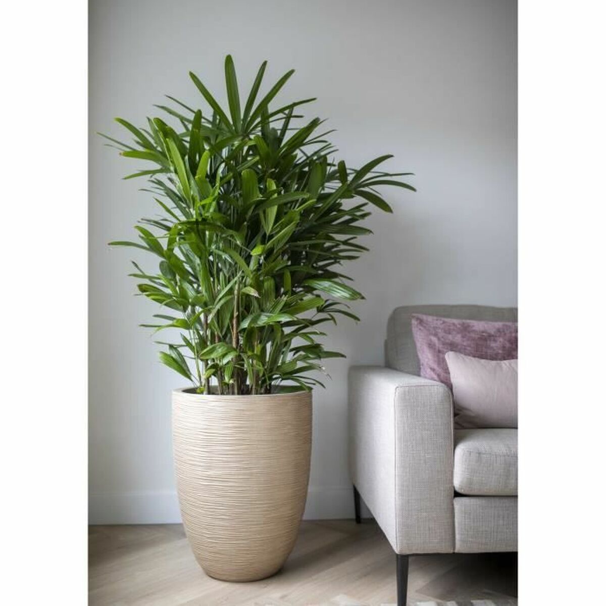 Vaso Capi Europe Plastica Rotondo 3 S71008844_1