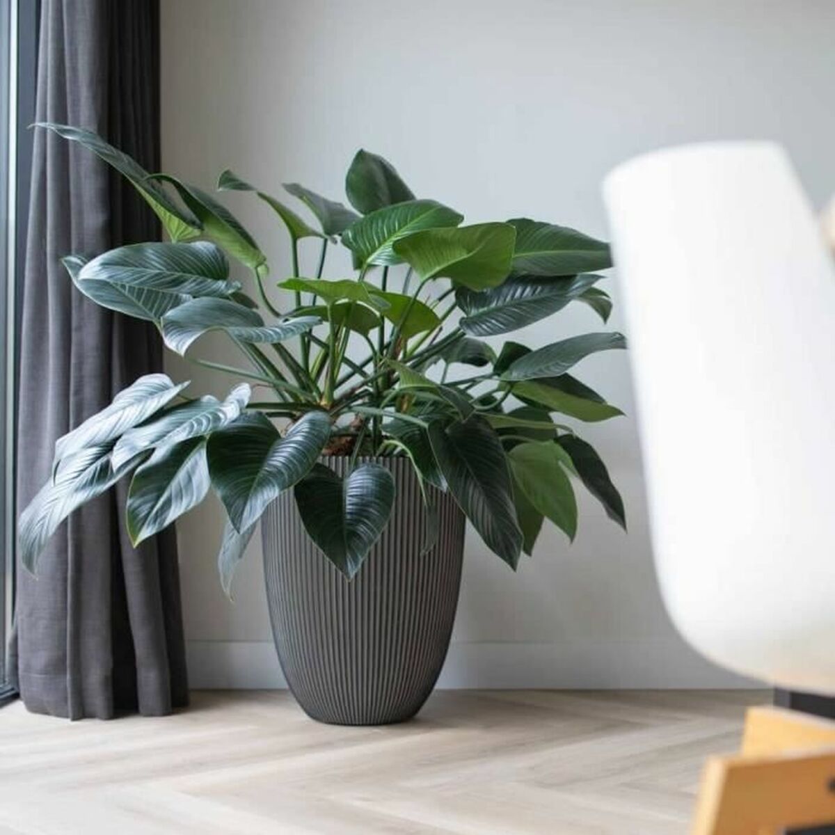 Vaso Capi Europe Plastica Rotondo 4 S71008849_2