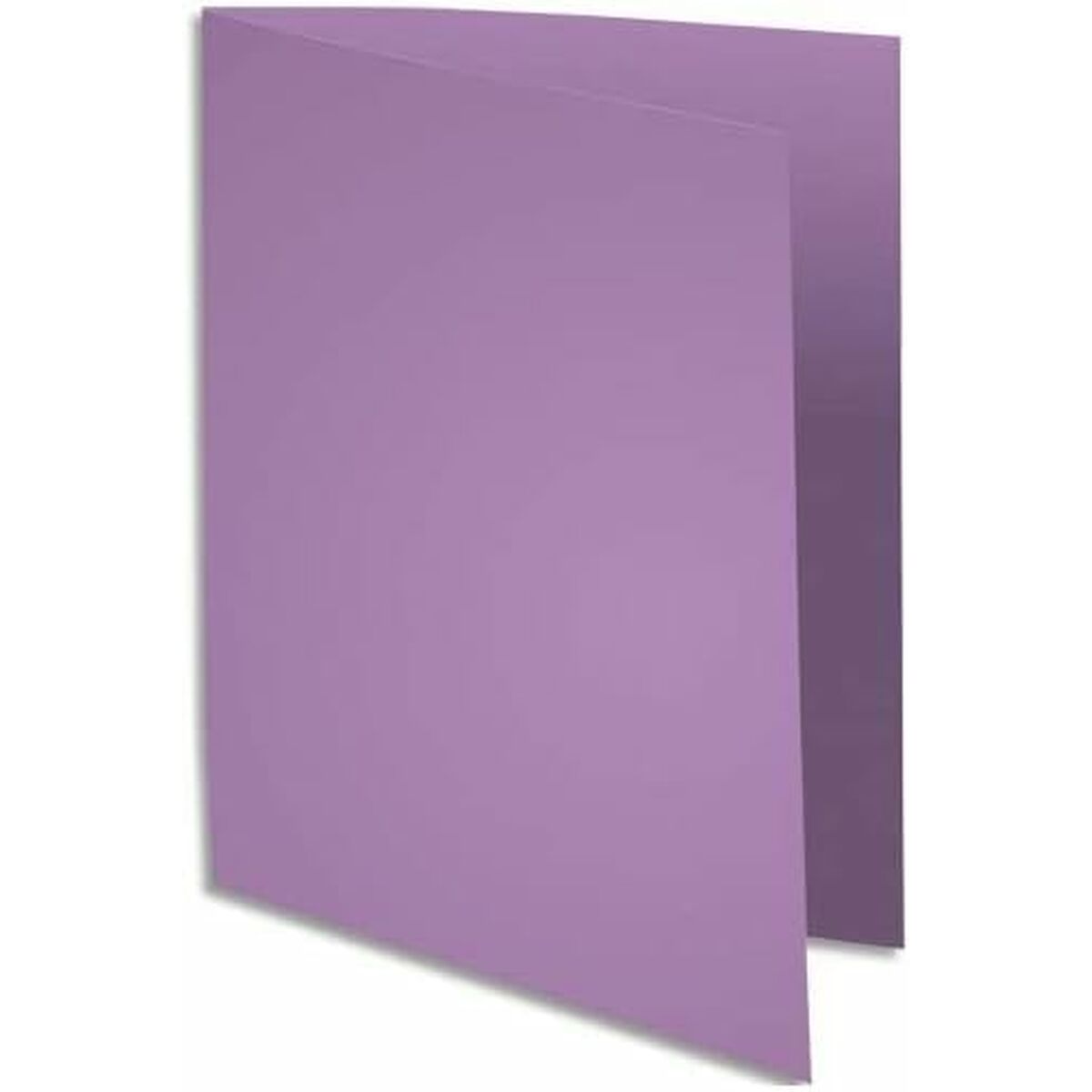 Sottocartella Exacompta 330008E Viola A4 (Ricondizionati B) 2 S3554422_0