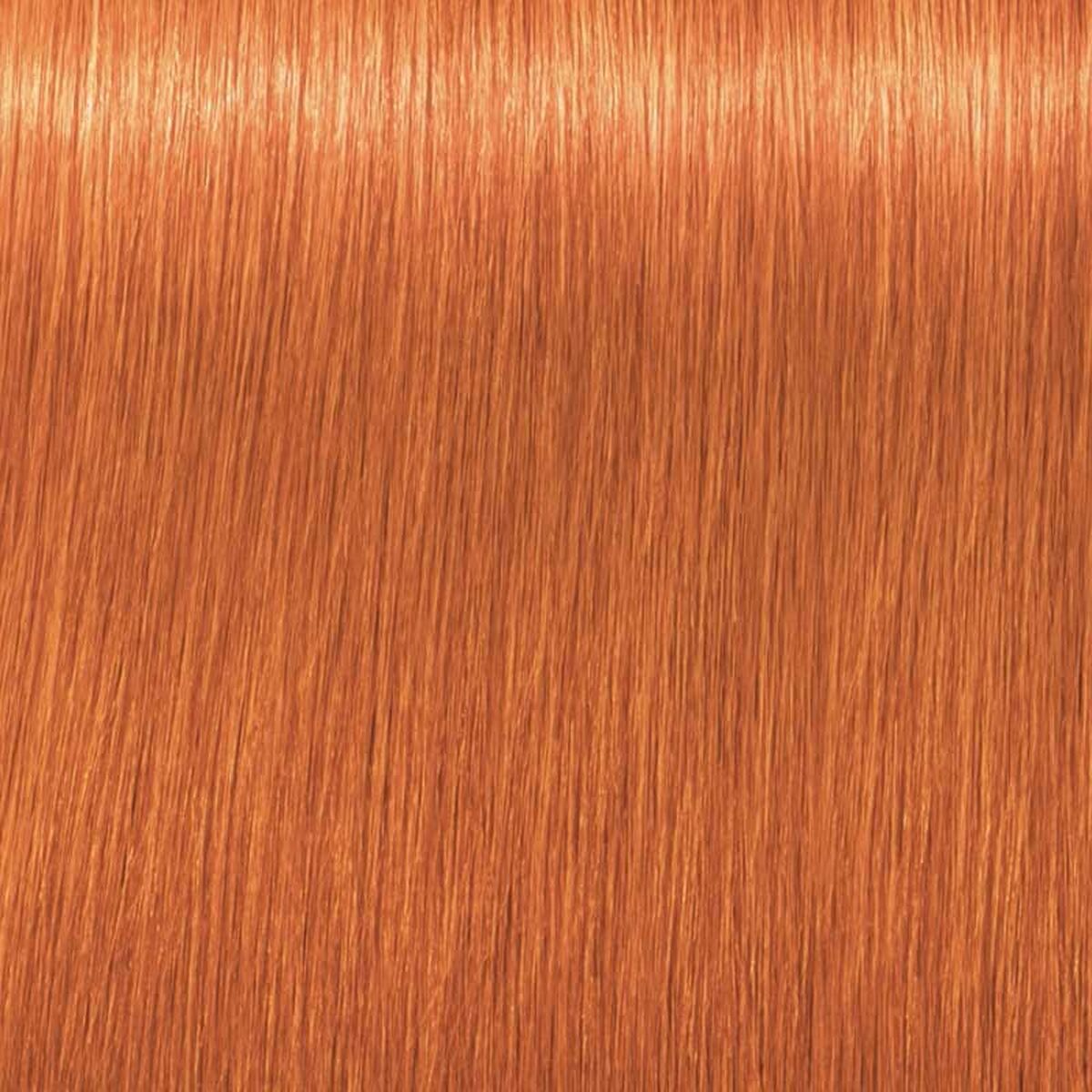 Tintura Permanente Schwarzkopf Igora Royal Nº 0-77 Nº 9.0-rubio muy claro 60 ml 3 S05114782_1