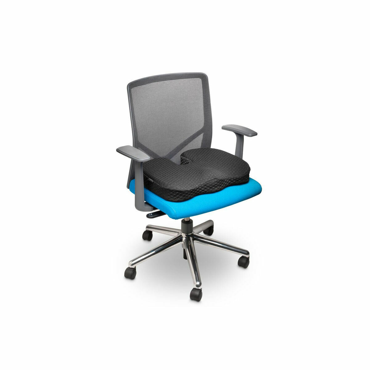 Cuscino per sedie Kensington 6 M0900239_4