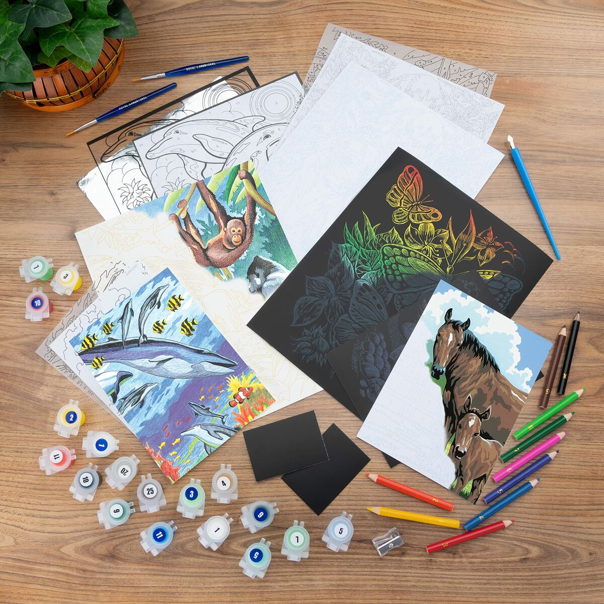 Set Pittura per Numeri Royal & Langnickel Art Adventure 49 Pezzi 3 S8430286_1