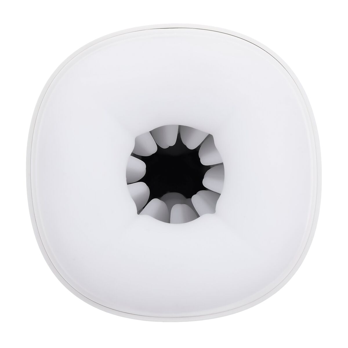 Jack Ass Endurance Playboy Playboy Bianco 21 S9405129_19