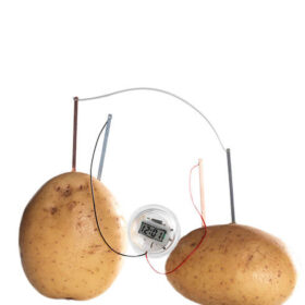 Regali Curiosi e Divertenti