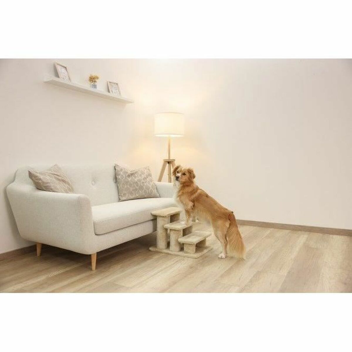 Scala Kerbl Beige 5 S71006987_3