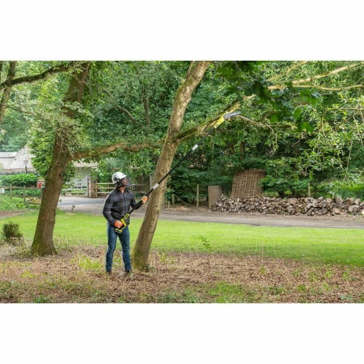 Potatore elettrico allungabile Ryobi RPP182020 3 S7198811_1