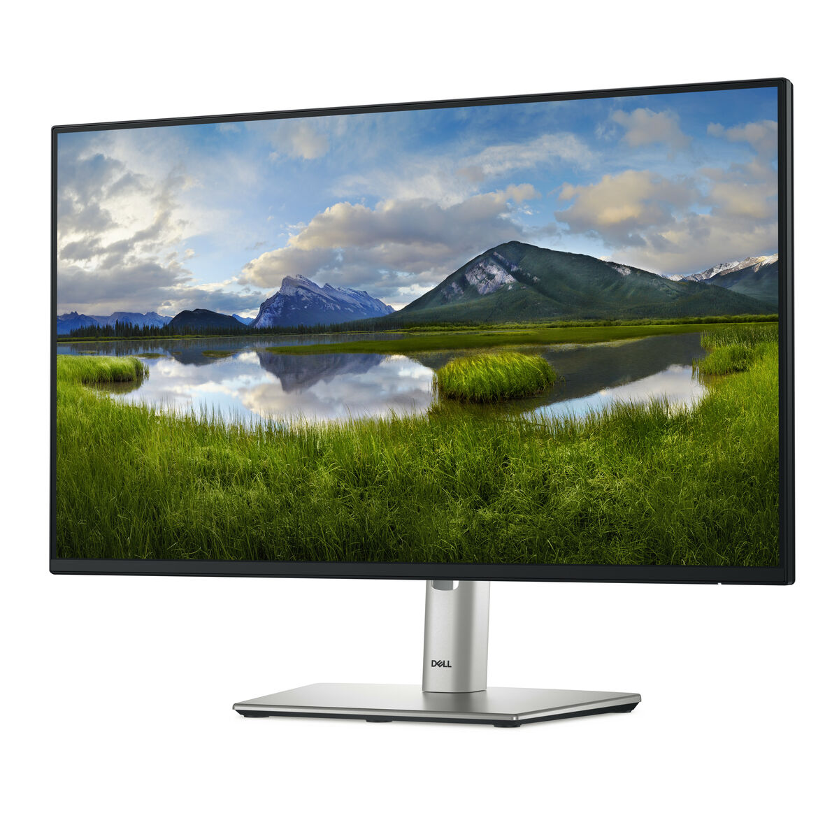 Monitor Dell P2425H 23,8" Full HD 100 Hz 2 S77193373_0