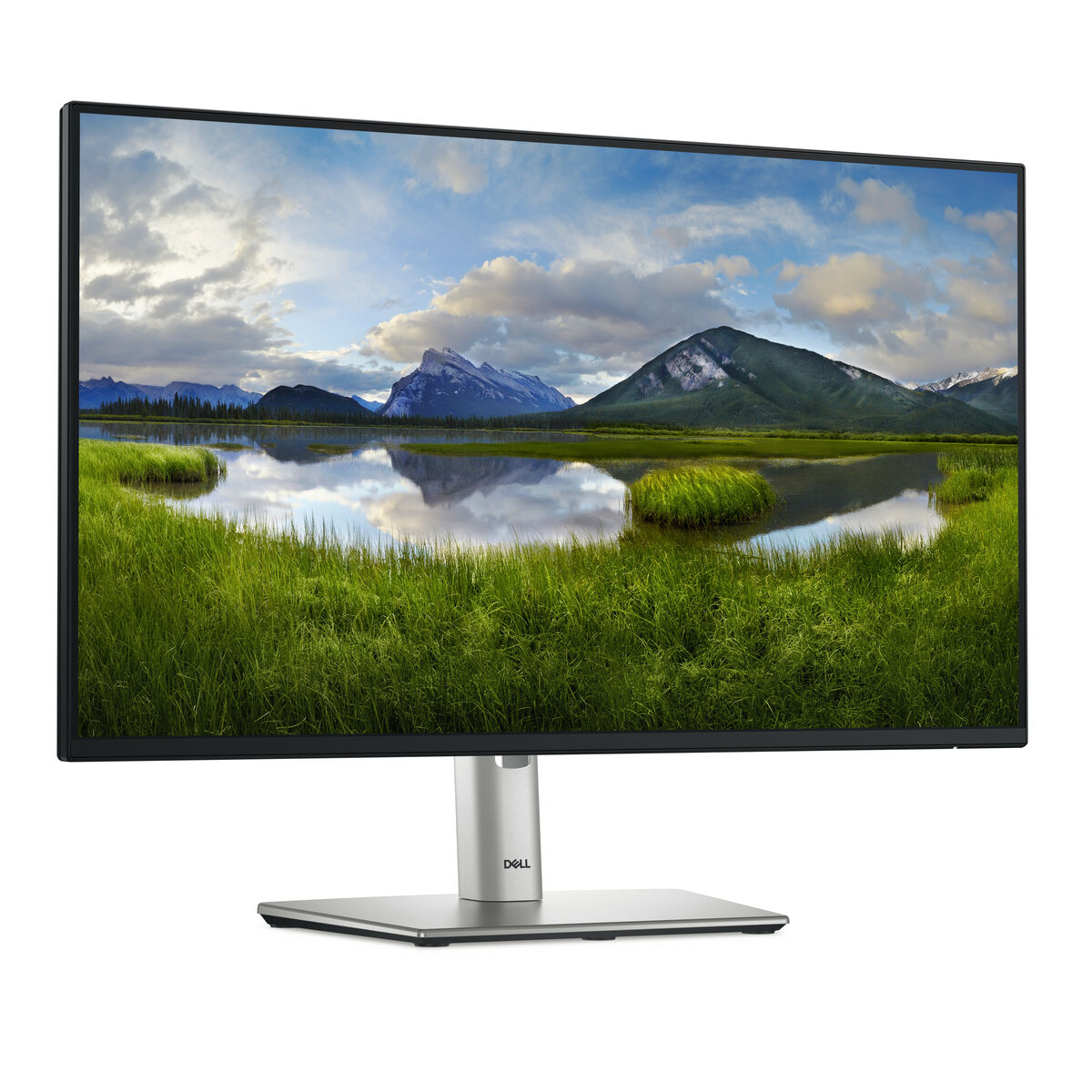 Monitor Dell P2425H 23,8" Full HD 100 Hz 4 S77193373_2
