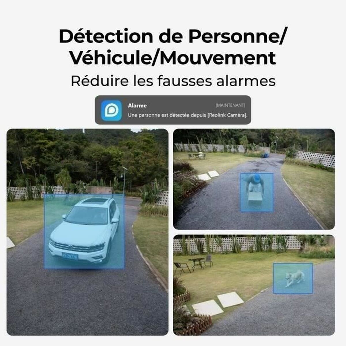 Videocamera di Sorveglianza Reolink 6 S71013059_4