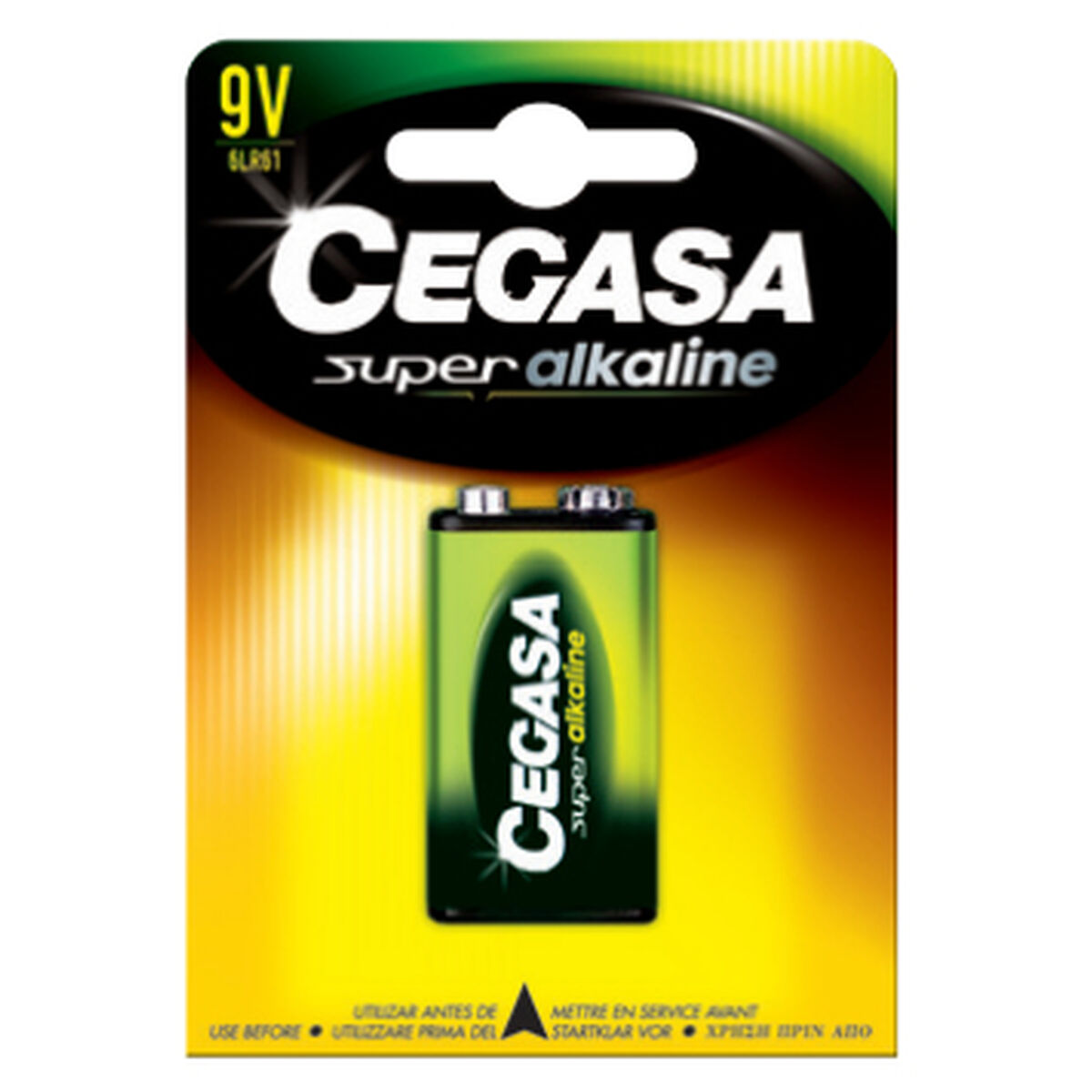 Batteria Alcalina Cegasa B.6LR61 9V 2 M0505049_0
