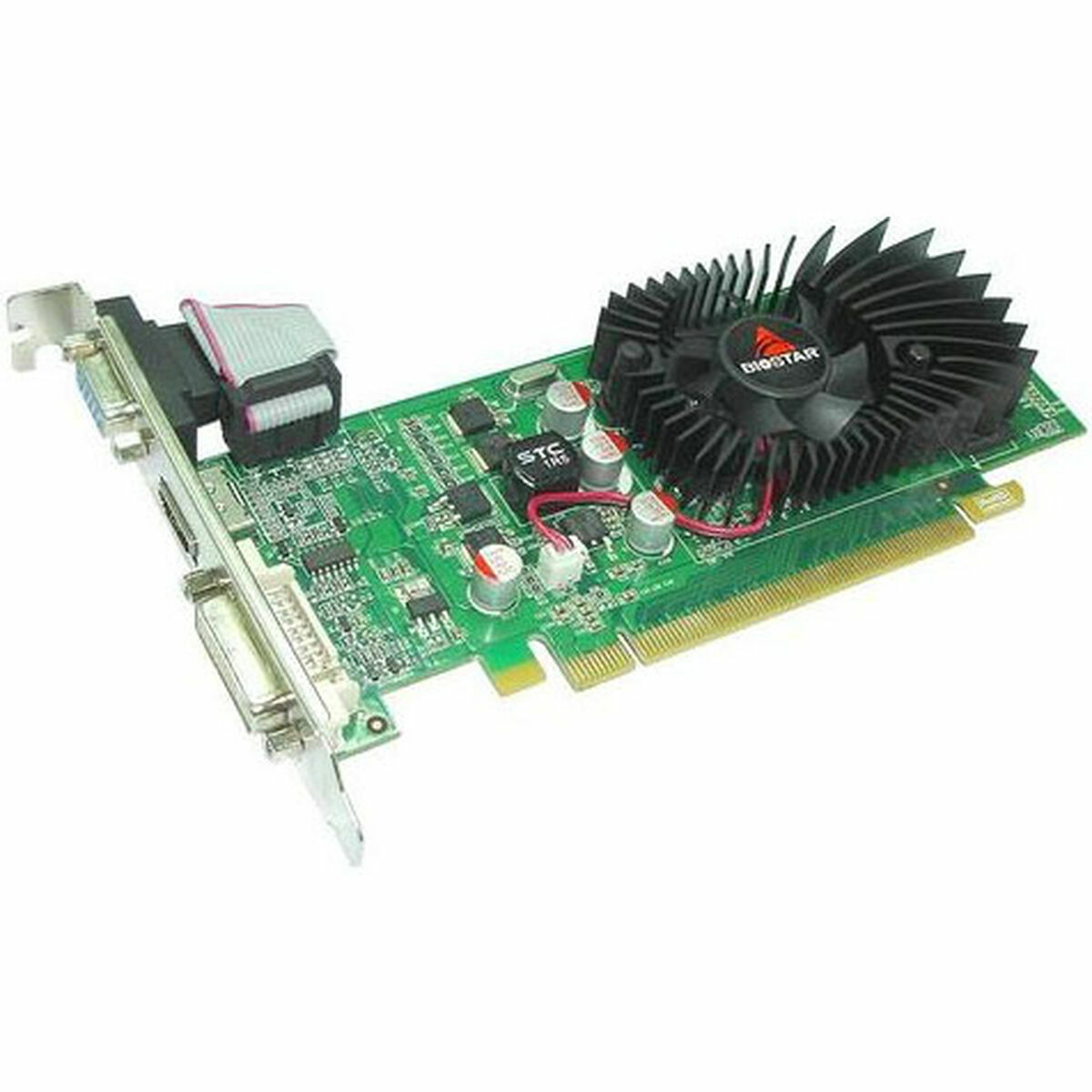 Scheda Grafica Biostar GeForce 210 1GB 1 GB NVIDIA GeForce 210 GDDR3 3 S0234128_1