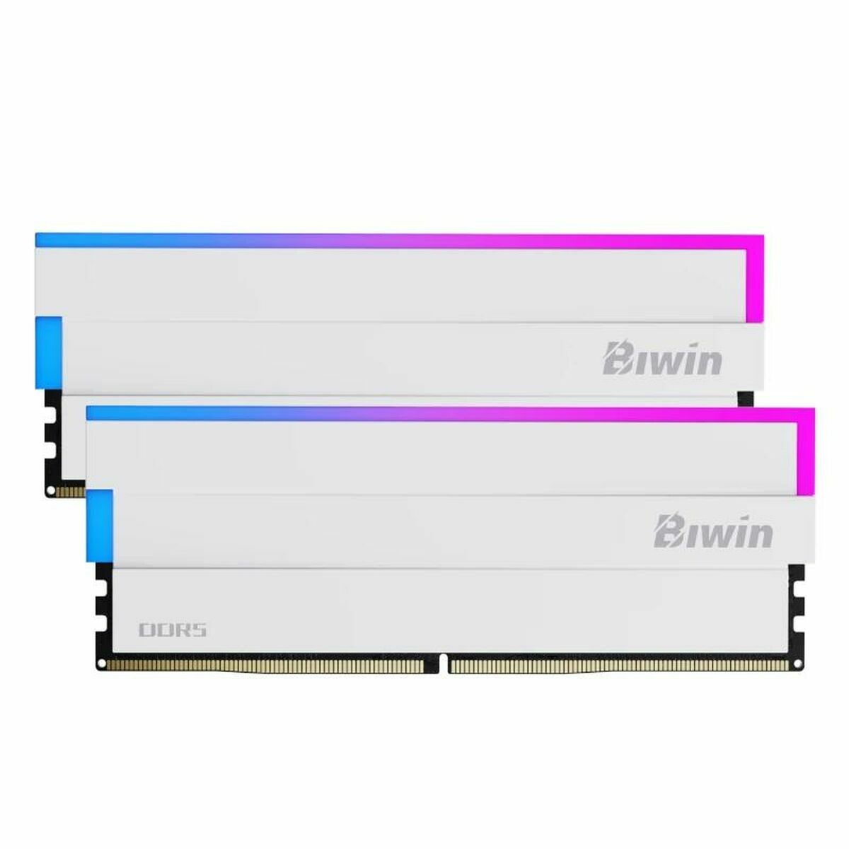 Memoria RAM Biwin DW100 32 GB DDR5 6000 MHz cl30 3 S0242327_1