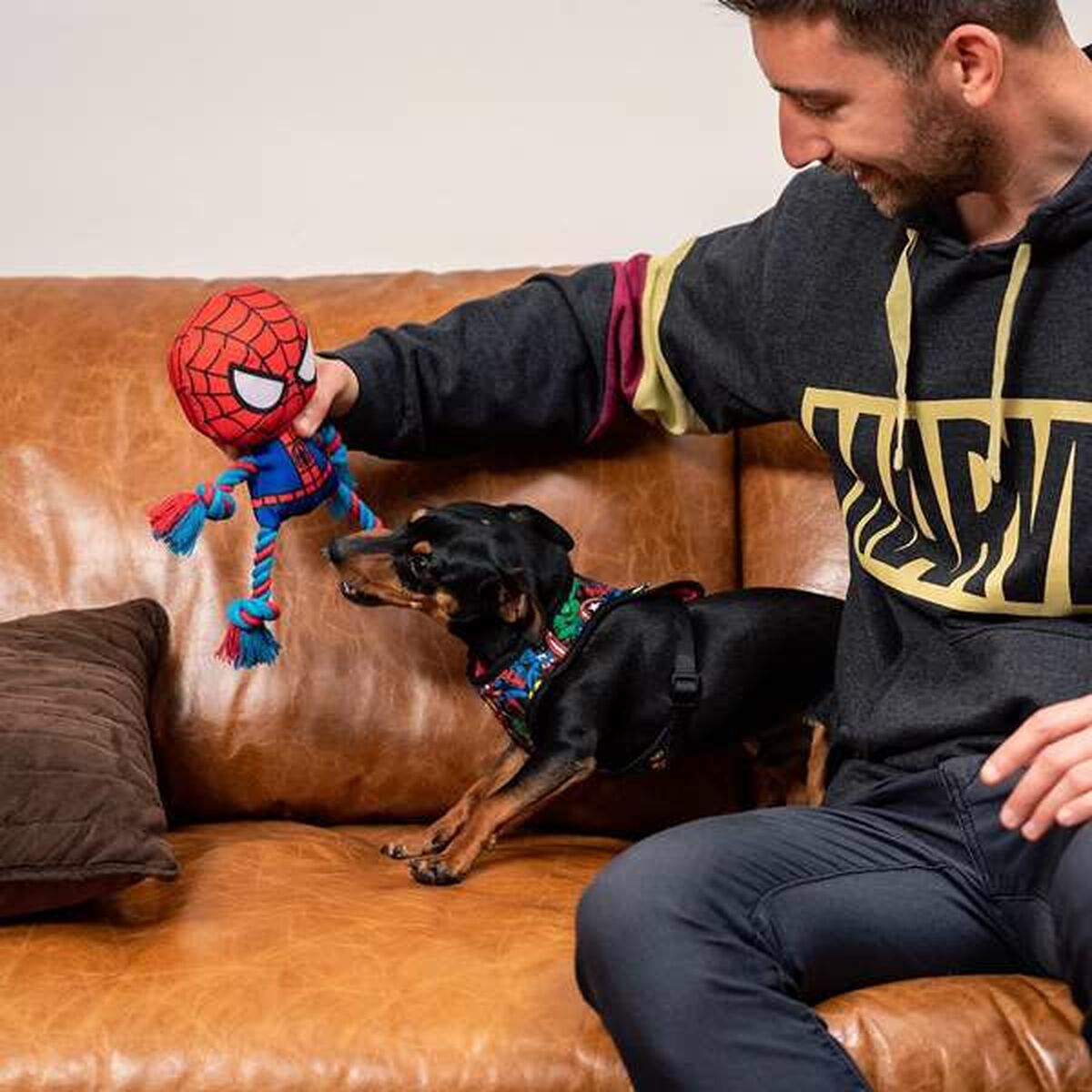 Giocattoli per cani Spider-Man 9 S2444091_7
