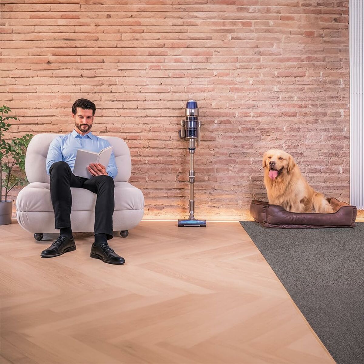 Scopa Elettrica Cecotec Conga Rockstar 12500 Stellar AquaPet Flex 650 W 6 V1709425_4