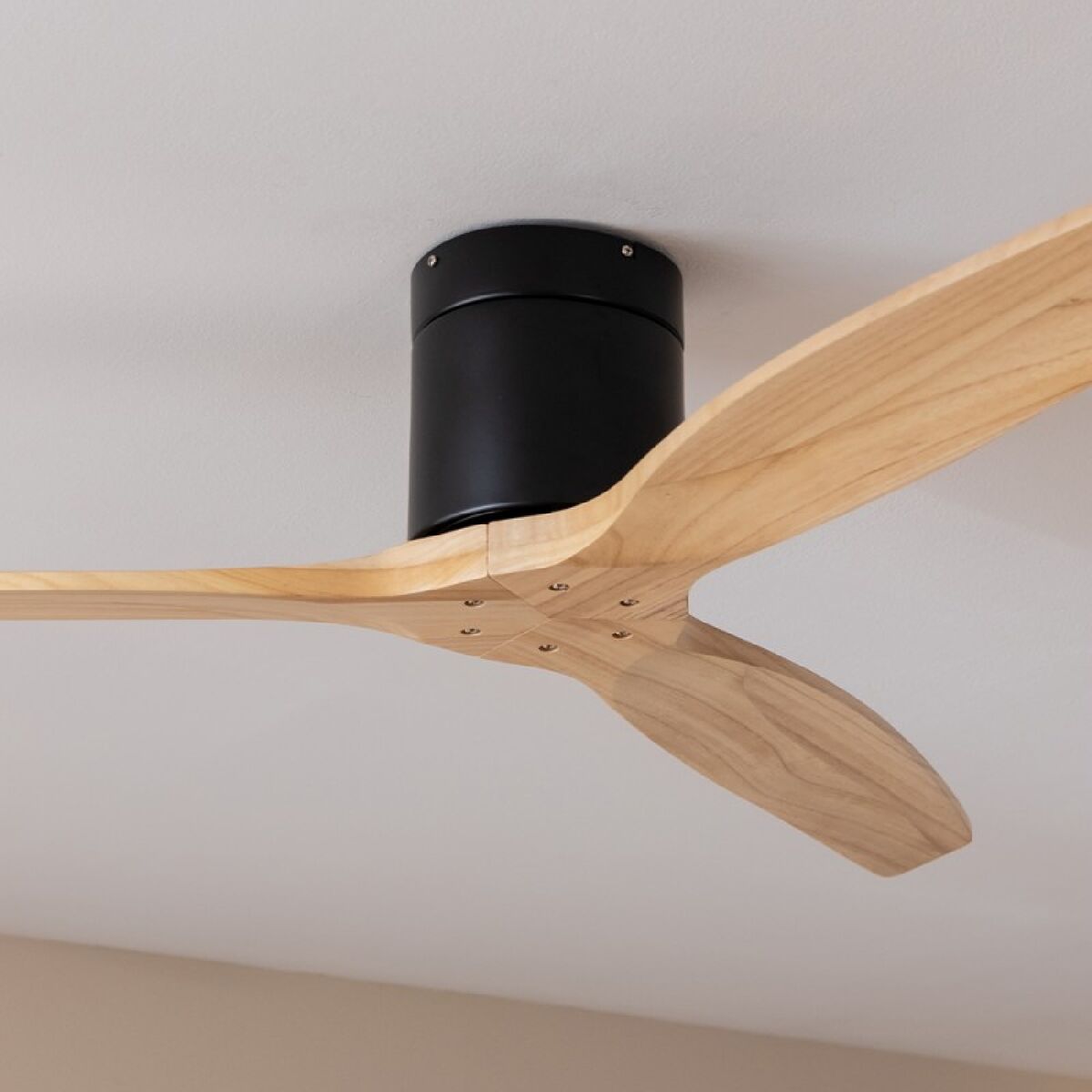 Ventilatore da Soffitto Cecotec EnergySilence Aero 5500 Aqua Nero 40 W Ø132 cm Legno 3 V1709207_1