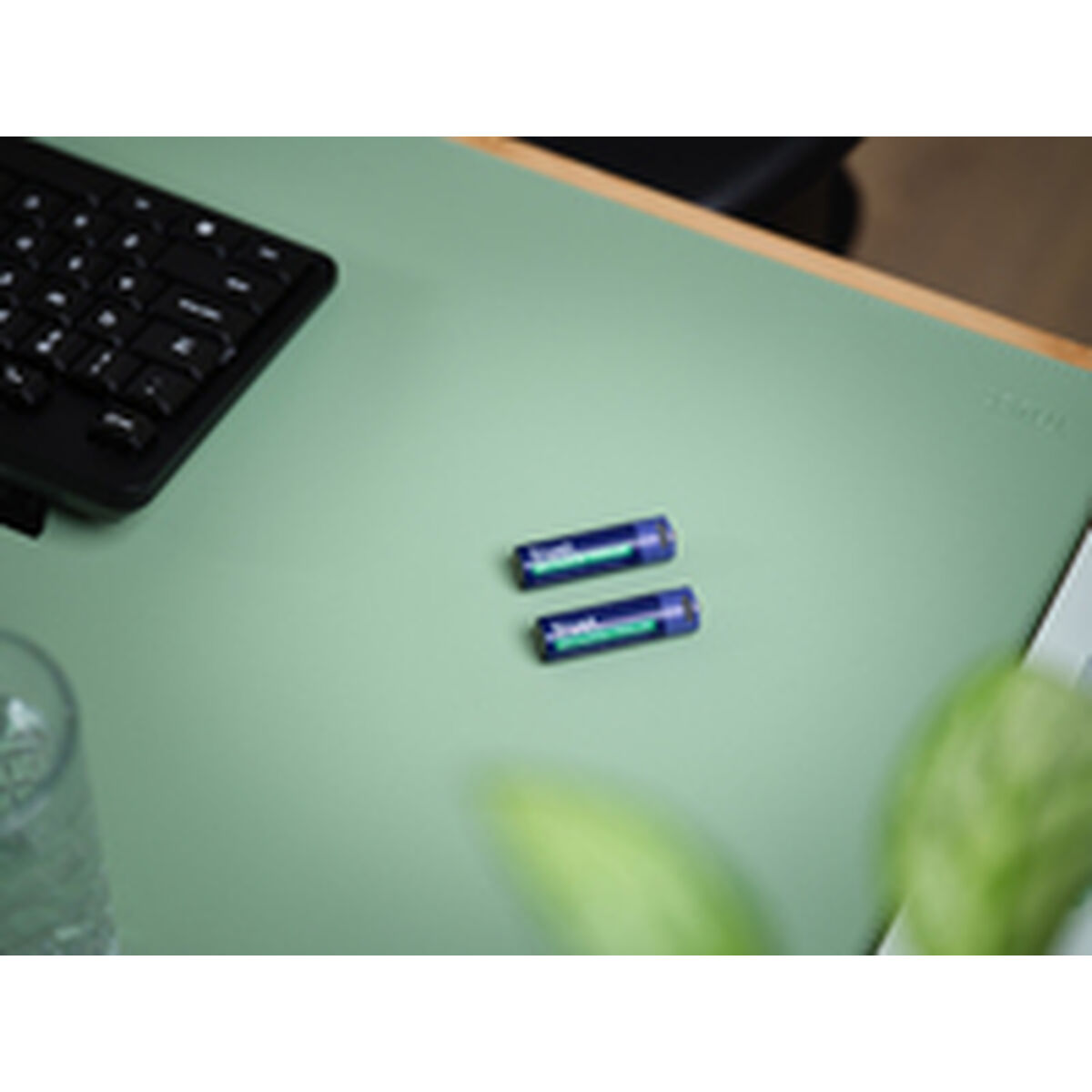 Batterie Trust 25584 15 S7611626_13