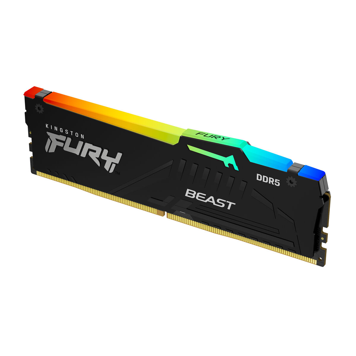 Memoria RAM Kingston KF568C34BBEA-16 16 GB DDR5 cl34 2 M0307447_0