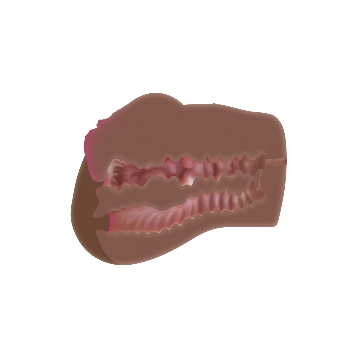 Jack Ass Endurance Zero Tolerance Marrone 3 S9404677_1