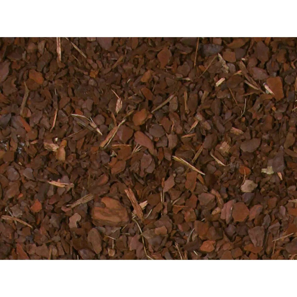 Corteccia di Pino Trixie 10 L 4 M0601881_2