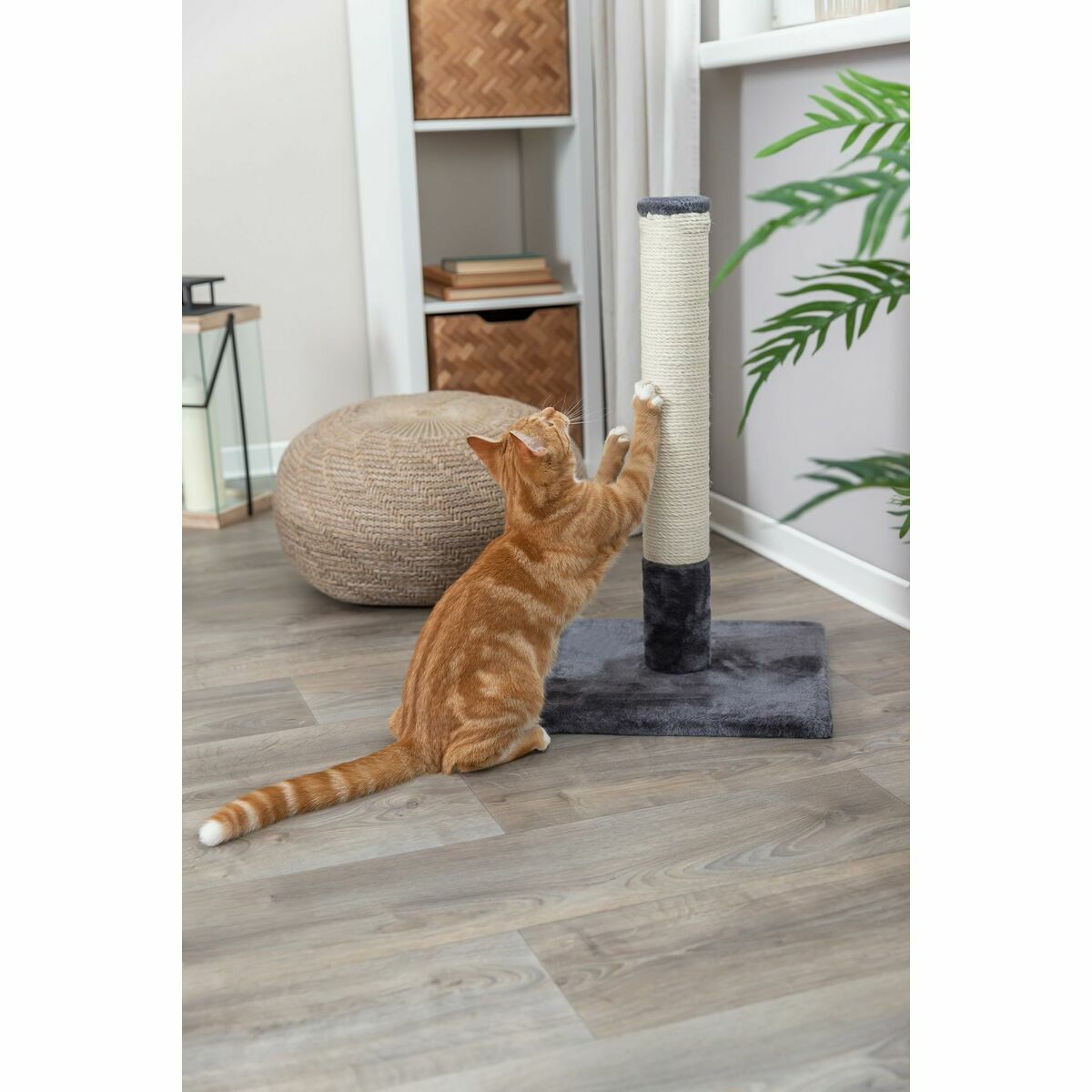 Tiragraffi per Gatti Trixie Bartes Grigio 3 M0606480_1
