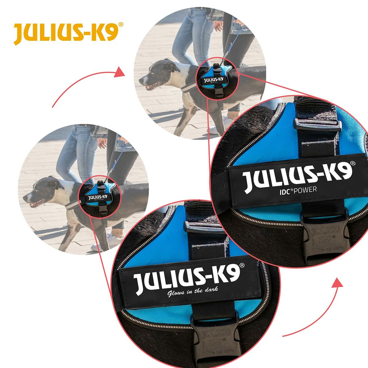 Imbracatura per Cani Julius K9 Power Rosso L/XL 2 7 M0604041_5