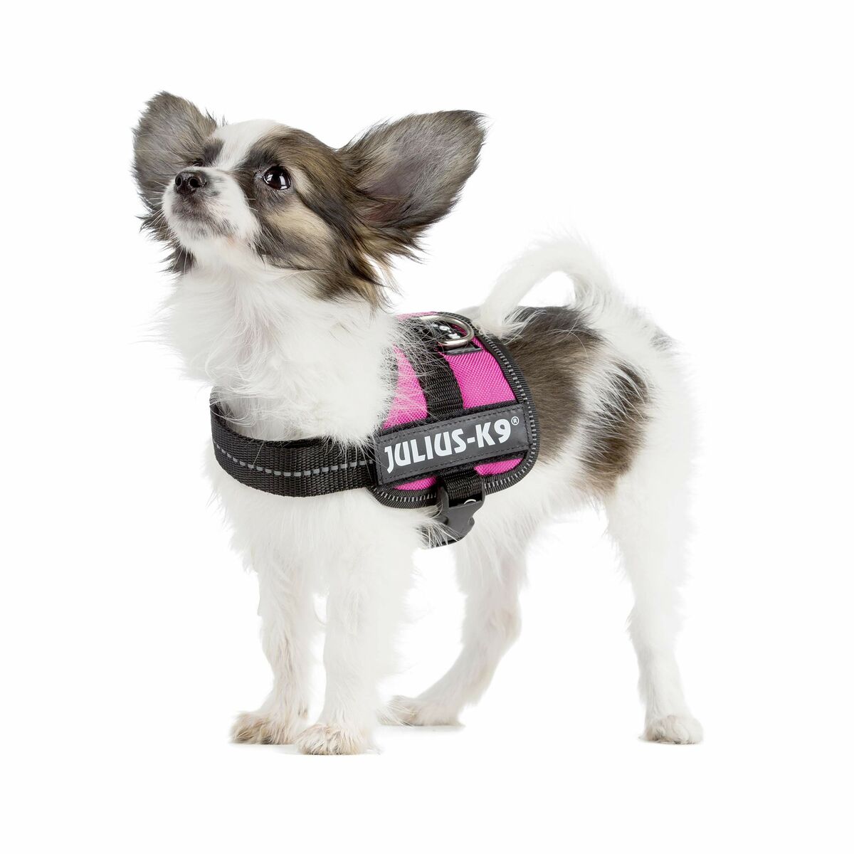 Imbracatura per Cani Trixie Fucsia 1 Baby 1 (XS) 26-36 cm 4 M0603406_2