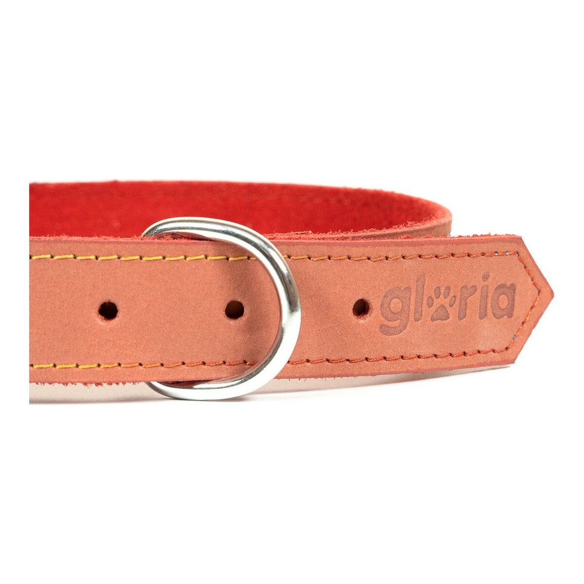 Collare per Cani Gloria Oasis Rosso (55 x 2,5 cm) 5 S6100708_3