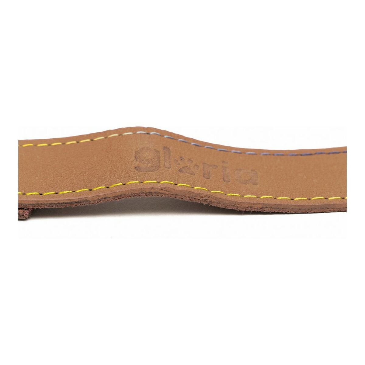 Guinzaglio per Cani Gloria Oasis 1.5 x 100 cm Marrone 3 S6100872_1