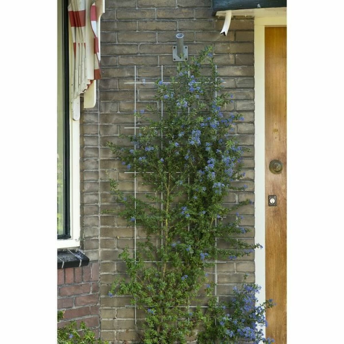 Recinzione da Giardino Nature Verde acciaio galvanizzato 42,5 x 145 cm 4 S7141258_2