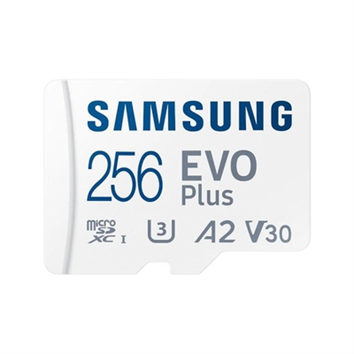 Scheda Micro SD Samsung EVO Plus New 256 GB 2 S0241087_0