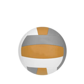 Pallavolo