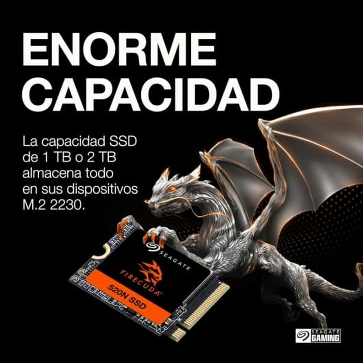 Hard Disk Seagate ZP2048GV3A002 2 TB SSD 9 S55256760_7