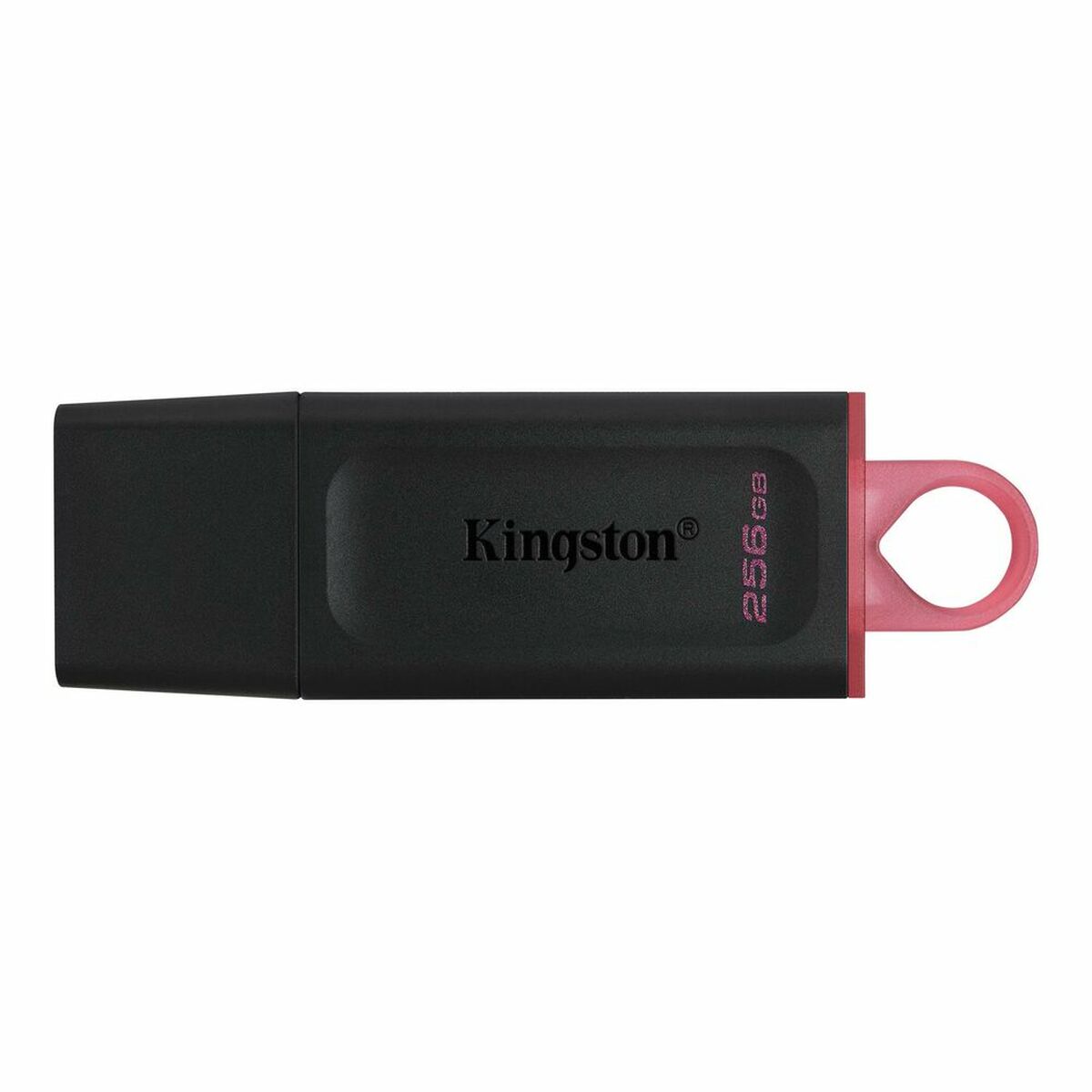 Memoria USB Kingston DTX/256GB Portachiavi Nero 256 GB 2 S0437885_0