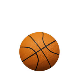 Palloni da pallacanestro