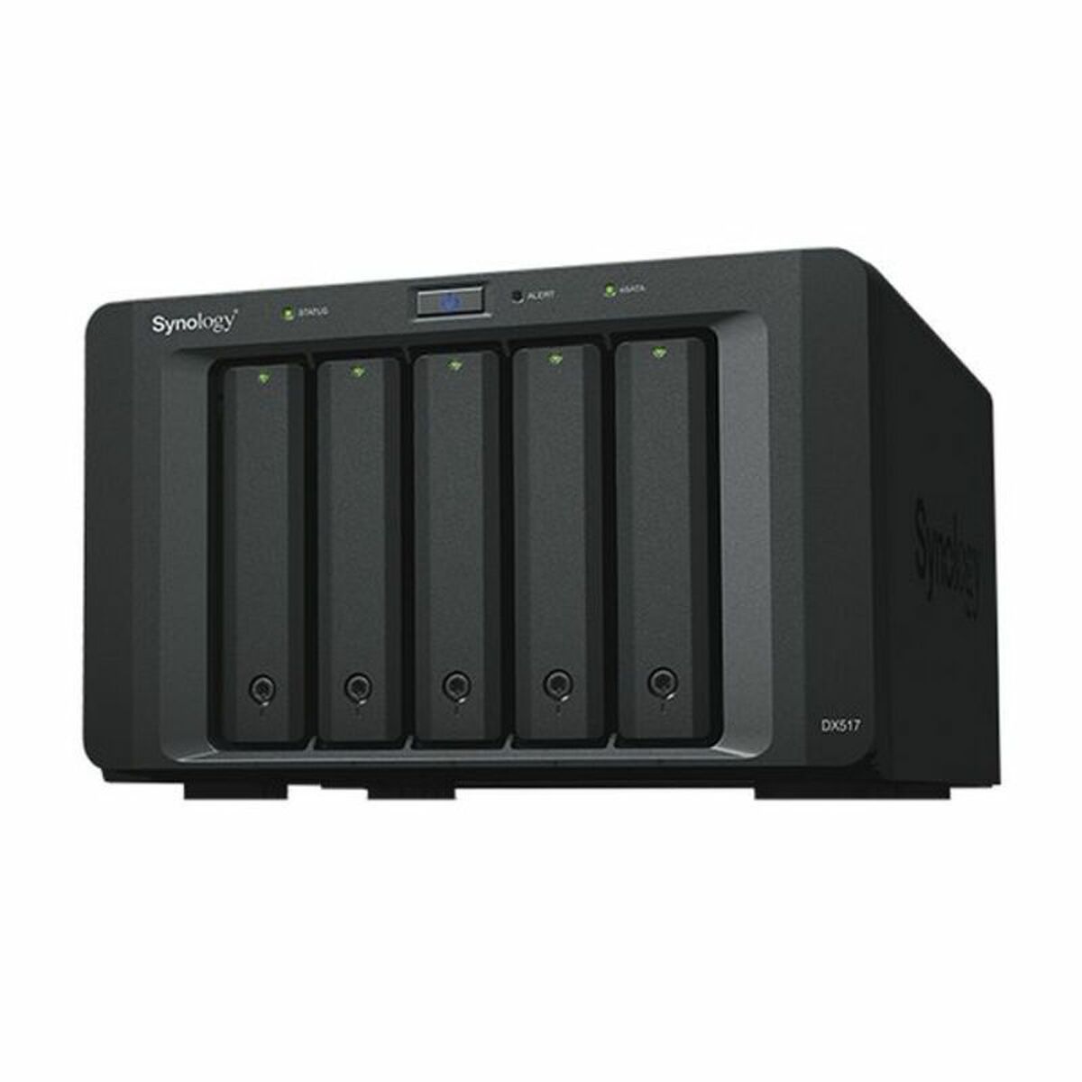 Memorizzazione in Rete NAS Synology DX517 Nero 3 S55265481_1