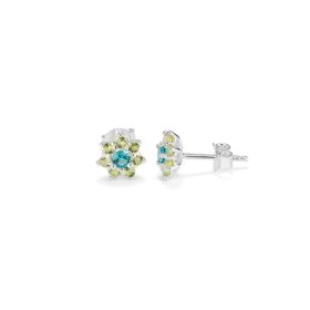Orecchini Donna Radiant RY000109